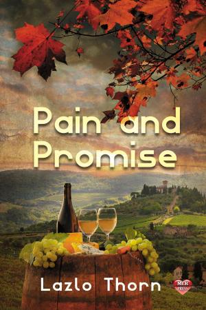 Cover of the book Pain and Promise by T.A. Chase