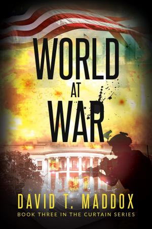 Cover of the book World at War by Dr. Alvin VanderGriend