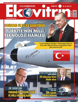 Cover of Turkiyenin Milli Teknoloji Hamlesi