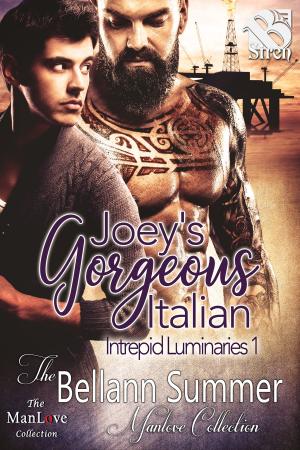 Cover of the book Joey's Gorgeous Italian by Stormy Glenn