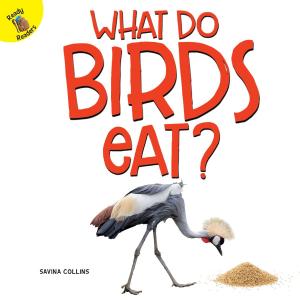 Cover of the book What Do Birds Eat? by Lori Mortensen