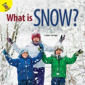Cover of the book What is Snow? by Joanne Mattern