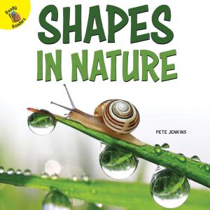 Cover of the book Shapes in Nature by Cindy Devine Dalton