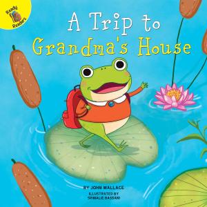 Cover of the book A Trip to Grandma's House by Meg Greve