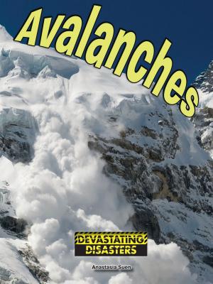 Cover of the book Avalanches by Mary Shafer