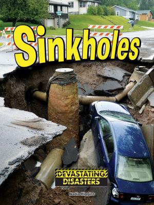 Cover of the book Sinkholes by Claire Daniel