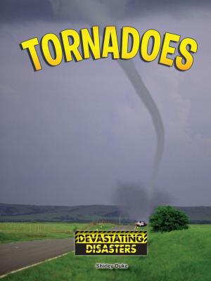 Cover of the book Tornadoes by Cindy Devine Dalton