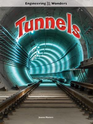Book cover of Tunnels
