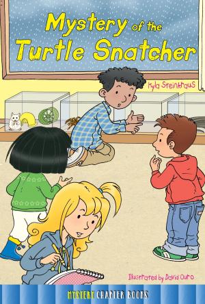 Cover of the book Mystery of the Turtle Snatcher by Barbara Webb