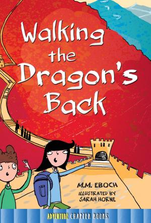 Cover of the book Walking the Dragon's Back by Joanne Mattern
