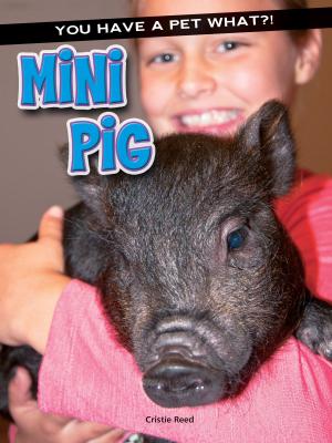 Cover of the book Mini Pig by Anastasia Suen