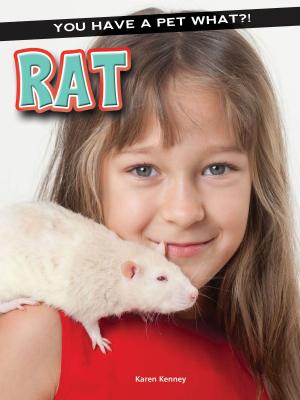 Cover of the book Rat by Anastasia Suen