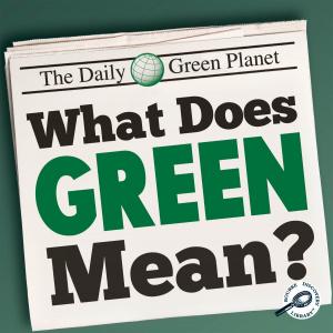 Cover of the book What Does Green Mean? by Tom Greve