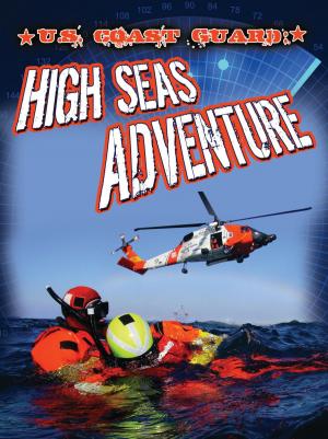 Cover of the book U.S. Coast Guard by Lisa Amstutz