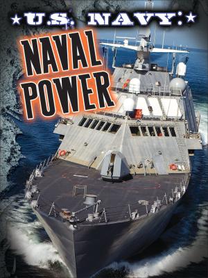 Cover of the book U.S. Navy by Ann Matzke