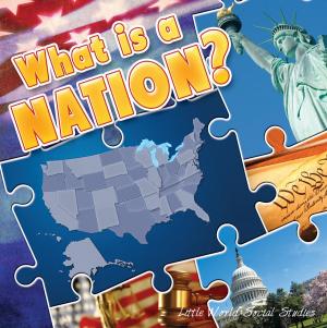 Cover of the book What Is A Nation? by Kyla Steinkraus