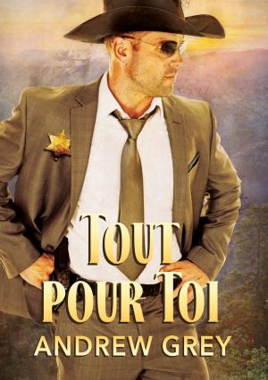 Cover of the book Tout pour toi by Luchia Dertien