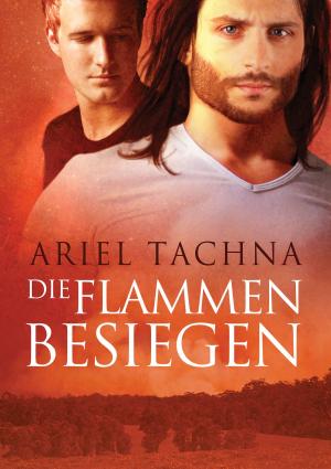 Cover of the book Die Flammen besiegen by Verity Croker