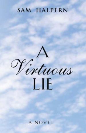 Cover of the book A Virtuous Lie by Stacy Wall Schweikhart, Ron Holifield