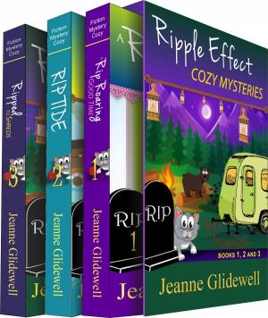 Cover of the book The Ripple Effect Cozy Mystery Boxed Set, Books 1-3 by Meli Raine