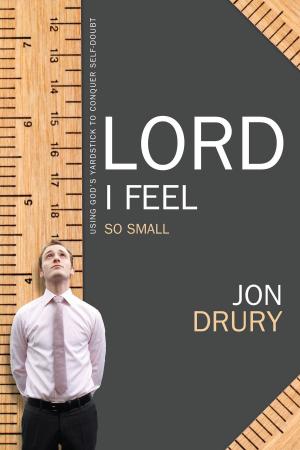 Cover of the book Lord I Feel So Small by Ava Fails