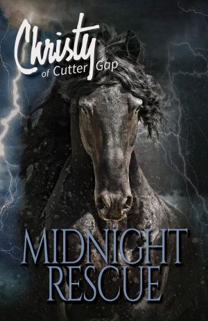 Cover of the book Midnight Rescue by Catherine Marshall