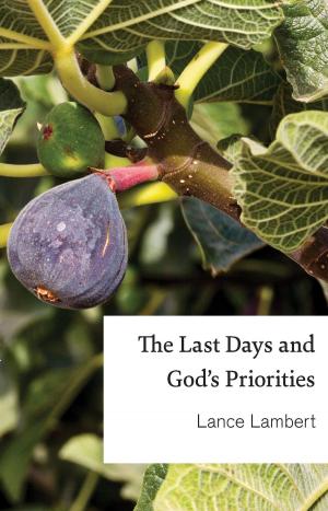 Book cover of The Last Days and God's Priorities