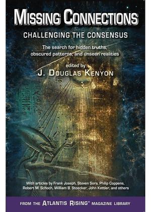 Book cover of Missing Connections: Challenging the Consensus