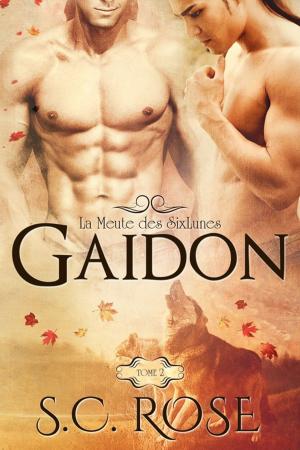 Cover of La Meute des SixLunes, tome 2: Gaidon