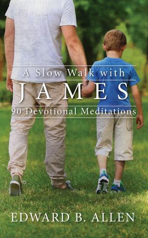 Cover of the book A Slow Walk with James by Diana Baker