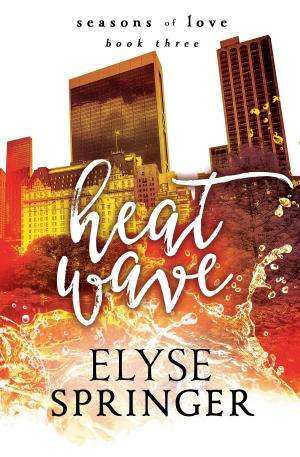Cover of the book Heat Wave (Seasons of Love, Book 3) by Penny Mickelbury