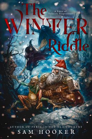 Cover of the book The Winter Riddle by bill kandiliotis