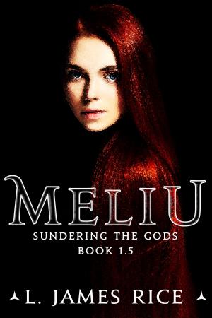 Book cover of Meliu