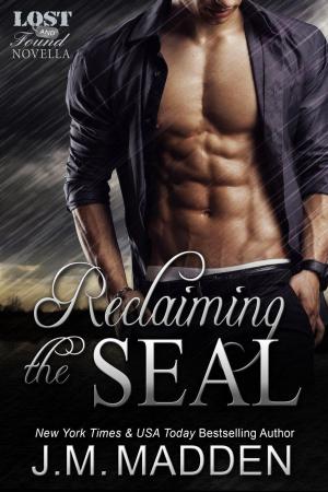 Cover of the book Reclaiming the SEAL by Theresa Romain