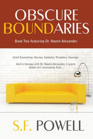 Cover of the book Obscure Boundaries by Stone Prisms Media