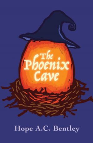 Cover of the book The Phoenix Cave by Desmond  Kaze