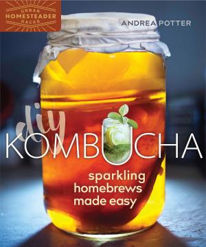 Cover of the book DIY Kombucha by Lauren Mandel
