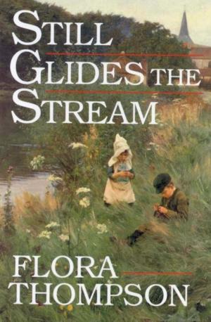 Cover of Still Glides the Stream