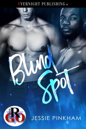 Cover of the book Blind Spot by Lynn Burke