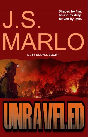 Cover of the book Unraveled by Justin Muller