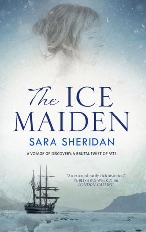 Cover of the book The Ice Maiden by Amy Myers