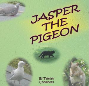 Cover of the book Jasper The Pigeon by Chris Ridgeon