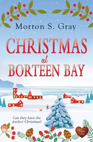 Cover of the book Christmas at Borteen Bay (Choc Lit) by AnneMarie Brear