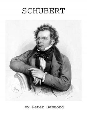 Cover of the book Schubert by K.E. Sullivan