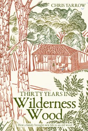 Cover of the book Thirty Years in Wilderness Wood by Eva Maria Knabenbauer