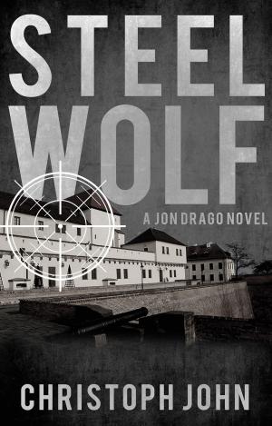 Cover of the book Steel Wolf by David Owain Hughes