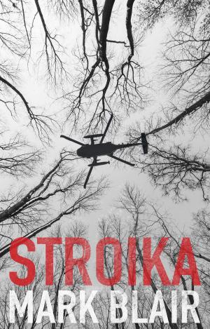 Cover of the book Stroika by S.A. Meyer