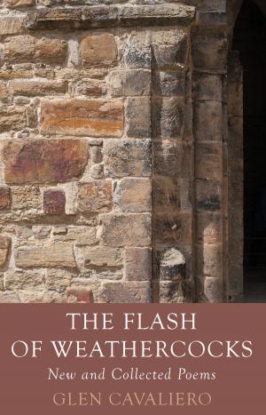 Cover of the book The Flash of Weathercocks by David Fletcher