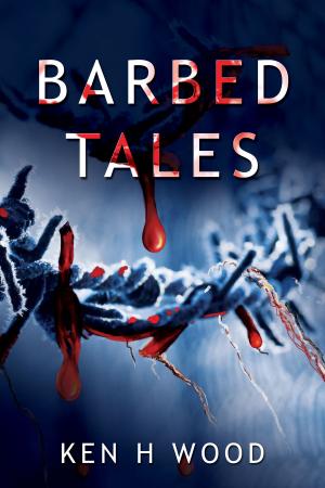 Cover of the book Barbed Tales by Debbie McGowan