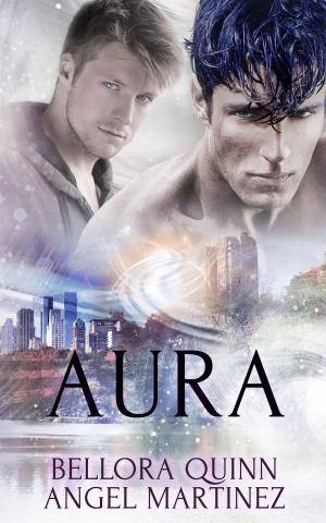 Cover of the book AURA: A Box Set: A Box Set by D.J. Manly